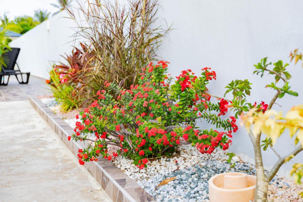Promo ! Les Paisibles Villas C & G Richeplaine Buitenkant foto